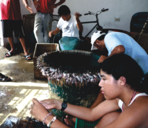 Members of the Tarcoles cooperative working on their artisanal fishing nets. Photo and copyright: Vivienne Solis Rivera, CoopeSoliDar R.L. Associates