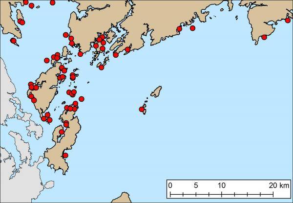 bay of fundy map