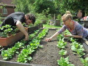 Participants working in community garden. Photo: courtesy by Nicole Rogge and GrüneBeete e.V., FH Münster/ Pressestelle.